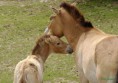 /album/fotogaleria/images16-jpg/