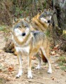 /album/fotogaleria/images17-jpg/